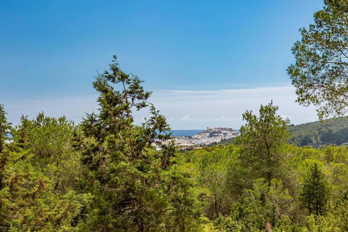Walk To Unvrs & Amnesia - 4Br Finca - Private Pool & Forest Spanien